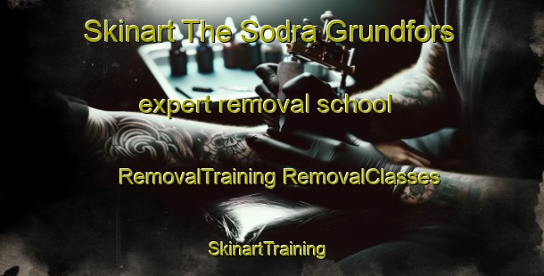 Skinart The Sodra Grundfors expert removal school | #RemovalTraining #RemovalClasses #SkinartTraining-Sweden