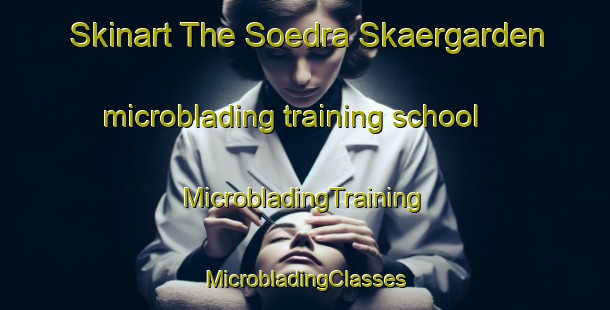 Skinart The Soedra Skaergarden microblading training school | #MicrobladingTraining #MicrobladingClasses #SkinartTraining-Sweden