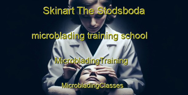 Skinart The Stodsboda microblading training school | MicrobladingTraining | MicrobladingClasses | SkinartTraining-Sweden