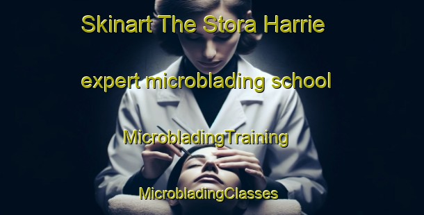 Skinart The Stora Harrie expert microblading school | MicrobladingTraining | MicrobladingClasses | SkinartTraining-Sweden