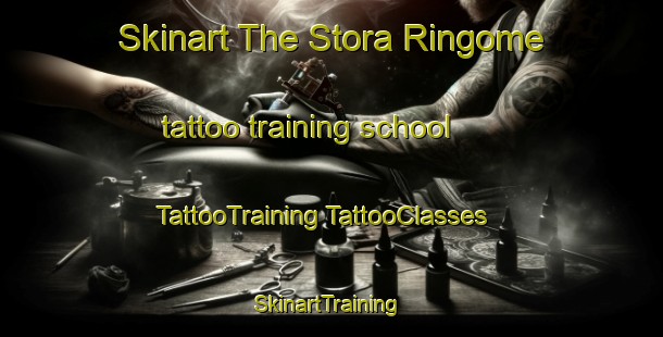 Skinart The Stora Ringome tattoo training school | #TattooTraining #TattooClasses #SkinartTraining-Sweden