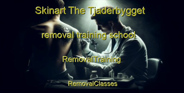 Skinart The Tjaderbygget removal training school | RemovalTraining | RemovalClasses | SkinartTraining-Sweden