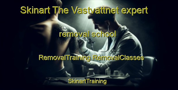 Skinart The Vastvattnet expert removal school | #RemovalTraining #RemovalClasses #SkinartTraining-Sweden