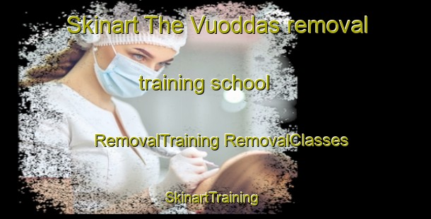 Skinart The Vuoddas removal training school | #RemovalTraining #RemovalClasses #SkinartTraining-Sweden