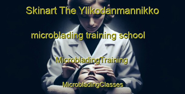 Skinart The Ylikodanmannikko microblading training school | #MicrobladingTraining #MicrobladingClasses #SkinartTraining-Sweden