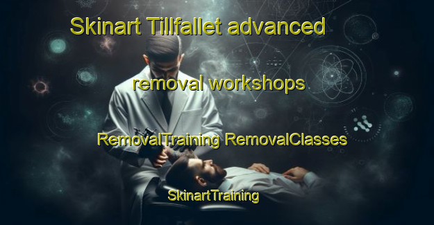 Skinart Tillfallet advanced removal workshops | #RemovalTraining #RemovalClasses #SkinartTraining-Sweden