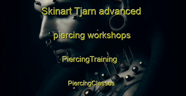 Skinart Tjarn advanced piercing workshops | PiercingTraining | PiercingClasses | SkinartTraining-Sweden