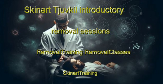 Skinart Tjuvkil introductory removal sessions | #RemovalTraining #RemovalClasses #SkinartTraining-Sweden