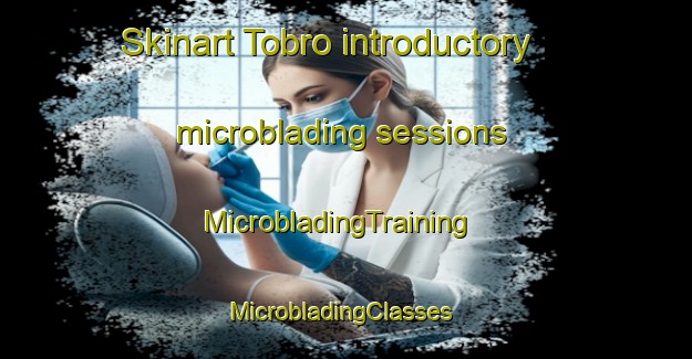 Skinart Tobro introductory microblading sessions | MicrobladingTraining | MicrobladingClasses | SkinartTraining-Sweden