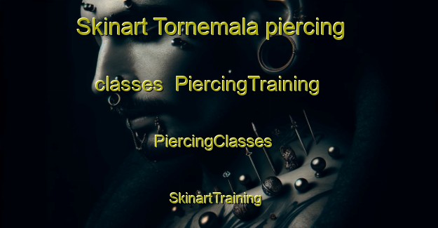 Skinart Tornemala piercing classes | PiercingTraining | PiercingClasses | SkinartTraining-Sweden