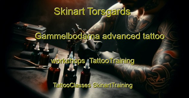 Skinart Torsgards Gammelbodarna advanced tattoo workshops | #TattooTraining #TattooClasses #SkinartTraining-Sweden