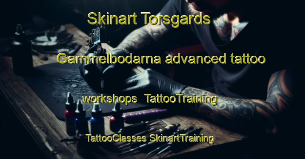 Skinart Torsgards Gammelbodarna advanced tattoo workshops | #TattooTraining #TattooClasses #SkinartTraining-Sweden