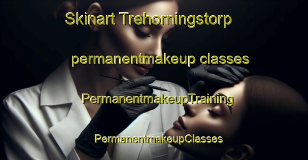 Skinart Trehorningstorp permanentmakeup classes | PermanentmakeupTraining | PermanentmakeupClasses | SkinartTraining-Sweden