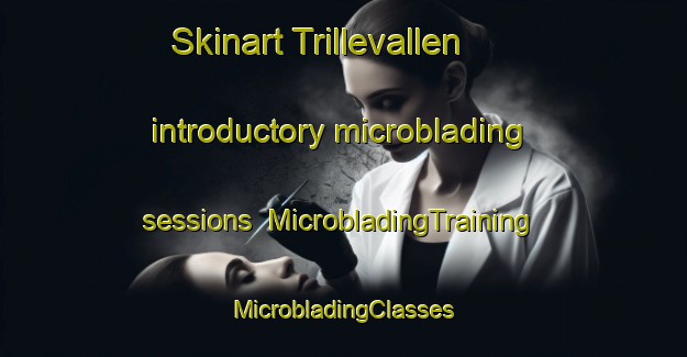 Skinart Trillevallen introductory microblading sessions | #MicrobladingTraining #MicrobladingClasses #SkinartTraining-Sweden