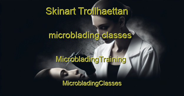 Skinart Trollhaettan microblading classes | #MicrobladingTraining #MicrobladingClasses #SkinartTraining-Sweden