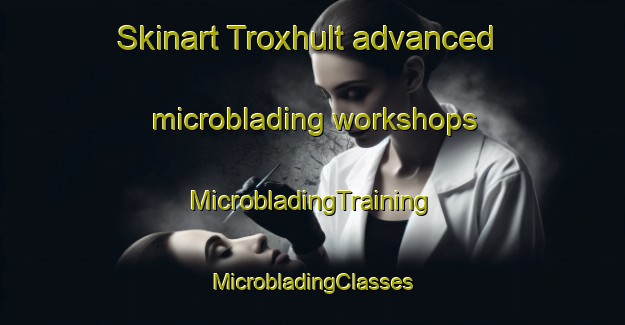 Skinart Troxhult advanced microblading workshops | #MicrobladingTraining #MicrobladingClasses #SkinartTraining-Sweden