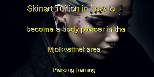 Skinart Tuition in how to become a body piercer in the Mjolkvattnet area | PiercingTraining | PiercingClasses | SkinartTraining-Sweden