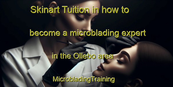 Skinart Tuition in how to become a microblading expert in the Ollebo area | MicrobladingTraining | MicrobladingClasses | SkinartTraining-Sweden