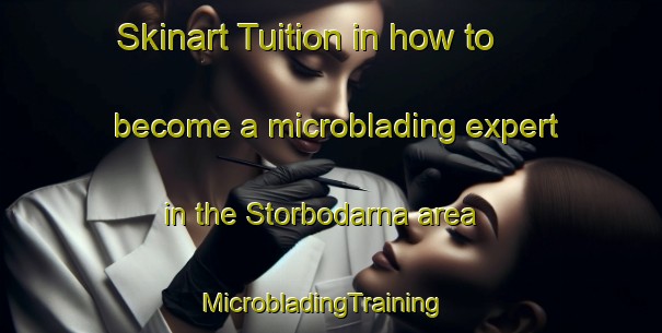 Skinart Tuition in how to become a microblading expert in the Storbodarna area | MicrobladingTraining | MicrobladingClasses | SkinartTraining-Sweden