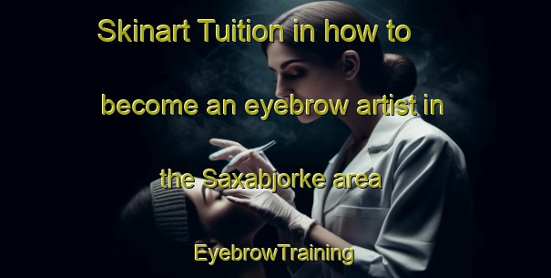 Skinart Tuition in how to become an eyebrow artist in the Saxabjorke area | EyebrowTraining | EyebrowClasses | SkinartTraining-Sweden