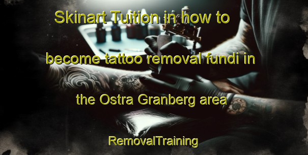 Skinart Tuition in how to become tattoo removal fundi in the Ostra Granberg area | RemovalTraining | RemovalClasses | SkinartTraining-Sweden