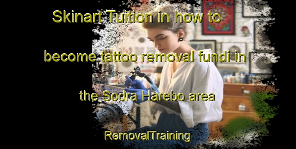 Skinart Tuition in how to become tattoo removal fundi in the Sodra Harebo area | RemovalTraining | RemovalClasses | SkinartTraining-Sweden