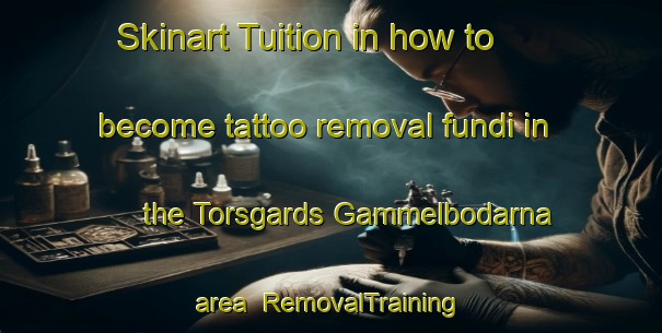 Skinart Tuition in how to become tattoo removal fundi in the Torsgards Gammelbodarna area | RemovalTraining | RemovalClasses | SkinartTraining-Sweden
