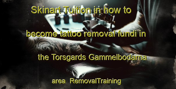 Skinart Tuition in how to become tattoo removal fundi in the Torsgards Gammelbodarna area | RemovalTraining | RemovalClasses | SkinartTraining-Sweden