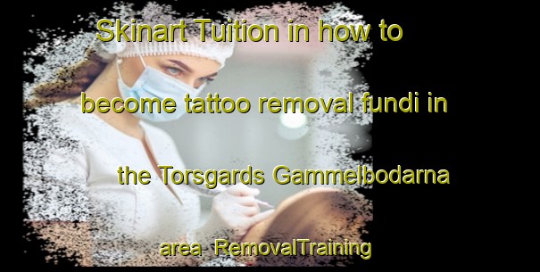 Skinart Tuition in how to become tattoo removal fundi in the Torsgards Gammelbodarna area | RemovalTraining | RemovalClasses | SkinartTraining-Sweden