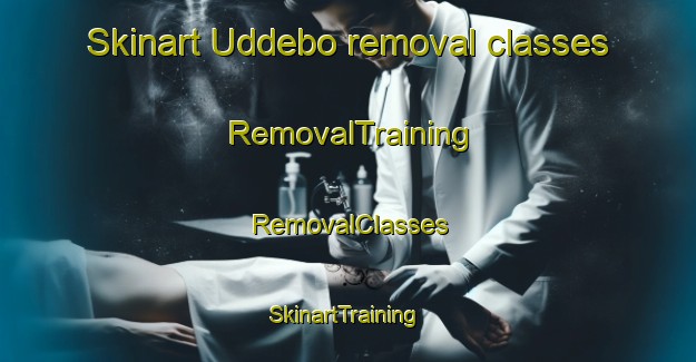 Skinart Uddebo removal classes | RemovalTraining | RemovalClasses | SkinartTraining-Sweden