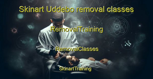 Skinart Uddebo removal classes | RemovalTraining | RemovalClasses | SkinartTraining-Sweden