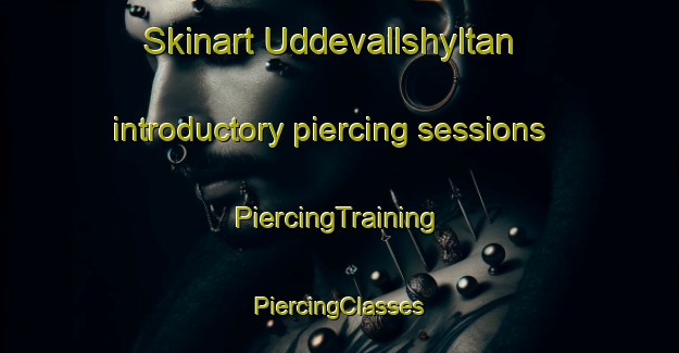 Skinart Uddevallshyltan introductory piercing sessions | #PiercingTraining #PiercingClasses #SkinartTraining-Sweden