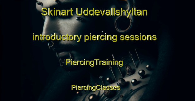 Skinart Uddevallshyltan introductory piercing sessions | PiercingTraining | PiercingClasses | SkinartTraining-Sweden
