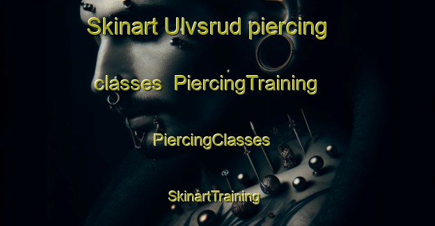 Skinart Ulvsrud piercing classes | PiercingTraining | PiercingClasses | SkinartTraining-Sweden