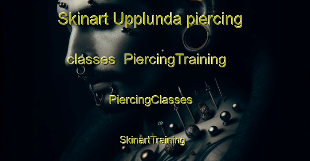 Skinart Upplunda piercing classes | PiercingTraining | PiercingClasses | SkinartTraining-Sweden