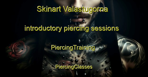 Skinart Valastugorna introductory piercing sessions | #PiercingTraining #PiercingClasses #SkinartTraining-Sweden