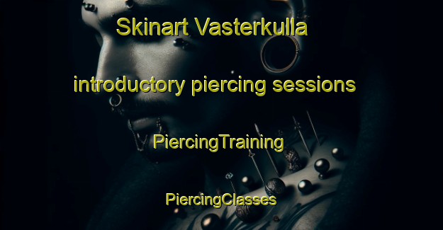 Skinart Vasterkulla introductory piercing sessions | #PiercingTraining #PiercingClasses #SkinartTraining-Sweden