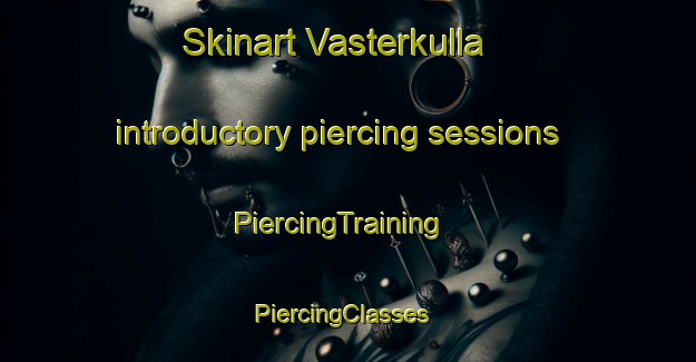 Skinart Vasterkulla introductory piercing sessions | PiercingTraining | PiercingClasses | SkinartTraining-Sweden