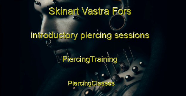 Skinart Vastra Fors introductory piercing sessions | PiercingTraining | PiercingClasses | SkinartTraining-Sweden