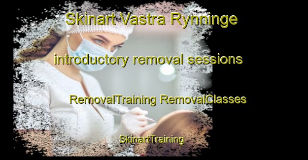 Skinart Vastra Rynninge introductory removal sessions | #RemovalTraining #RemovalClasses #SkinartTraining-Sweden