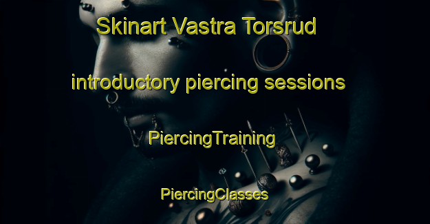 Skinart Vastra Torsrud introductory piercing sessions | #PiercingTraining #PiercingClasses #SkinartTraining-Sweden