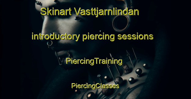 Skinart Vasttjarnlindan introductory piercing sessions | #PiercingTraining #PiercingClasses #SkinartTraining-Sweden