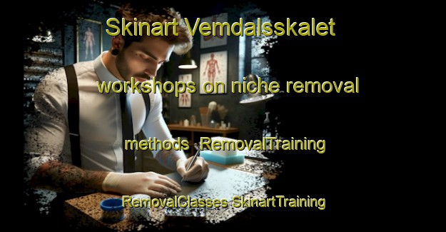 Skinart Vemdalsskalet workshops on niche removal methods | #RemovalTraining #RemovalClasses #SkinartTraining-Sweden