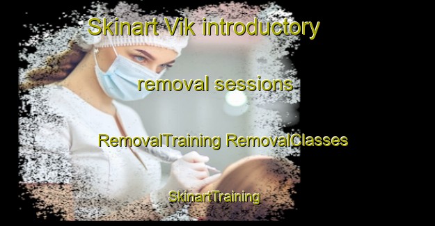 Skinart Vik introductory removal sessions | #RemovalTraining #RemovalClasses #SkinartTraining-Sweden