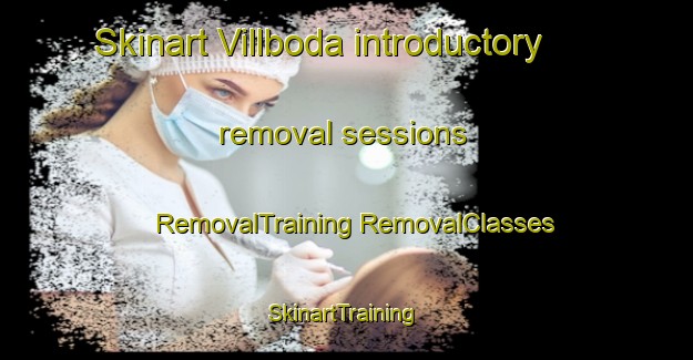 Skinart Villboda introductory removal sessions | #RemovalTraining #RemovalClasses #SkinartTraining-Sweden