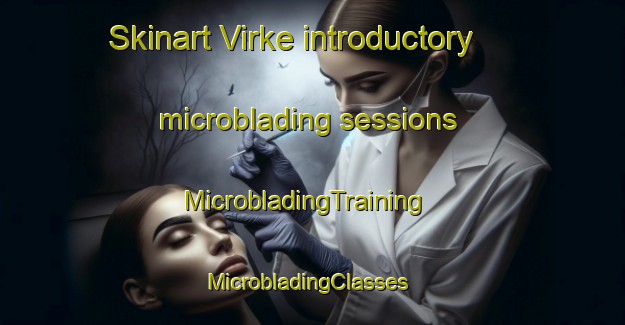 Skinart Virke introductory microblading sessions | MicrobladingTraining | MicrobladingClasses | SkinartTraining-Sweden