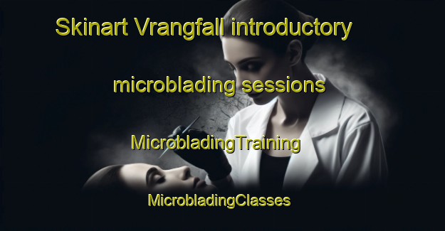 Skinart Vrangfall introductory microblading sessions | MicrobladingTraining | MicrobladingClasses | SkinartTraining-Sweden