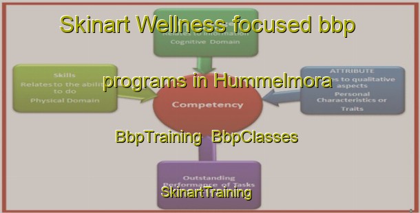 Skinart Wellness-focused bbp programs in Hummelmora | BbpTraining | BbpClasses | SkinartTraining-Sweden