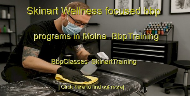 Skinart Wellness-focused bbp programs in Molna | BbpTraining | BbpClasses | SkinartTraining-Sweden