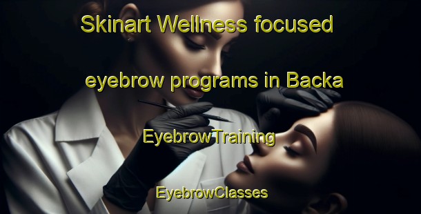 Skinart Wellness-focused eyebrow programs in Backa | EyebrowTraining | EyebrowClasses | SkinartTraining-Sweden